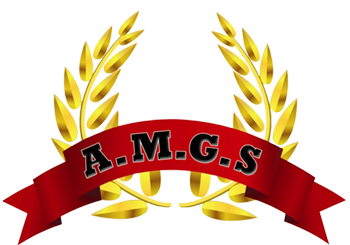 Amgs
